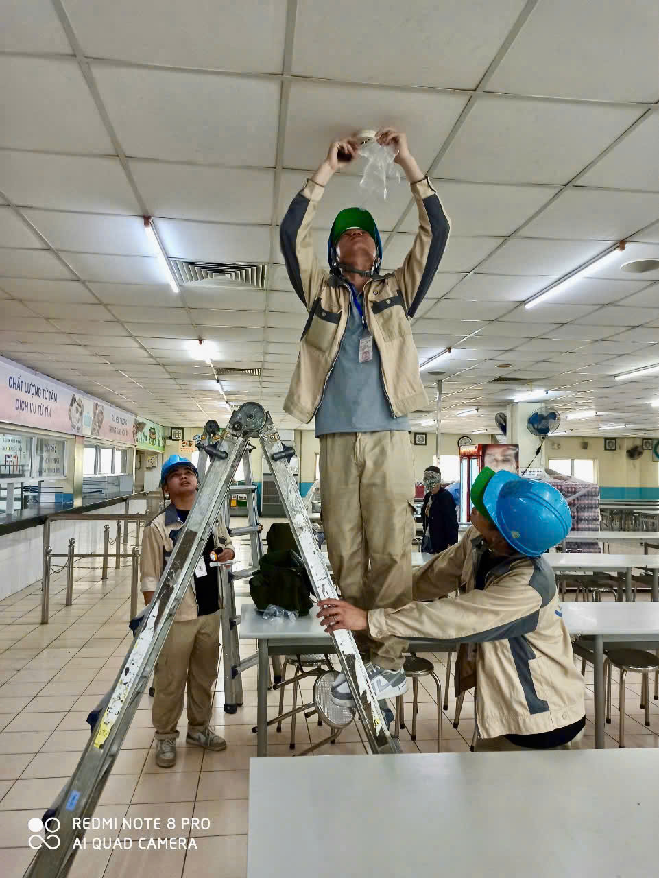 Dịch vụ diệt công trùng - Công Ty TNHH Nhà Đẹp Đại Dương
